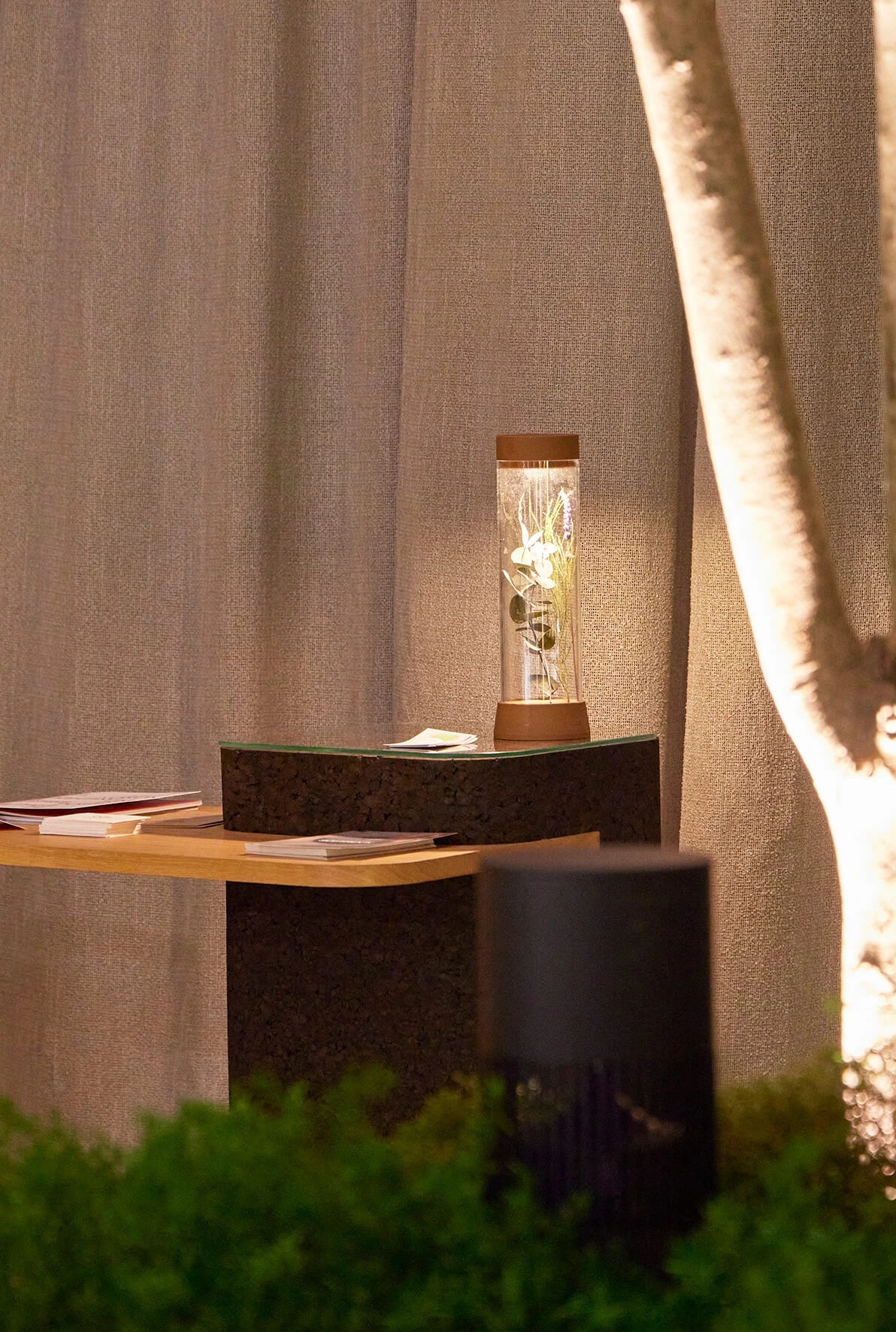 Lámpara de mesa recargable EOS