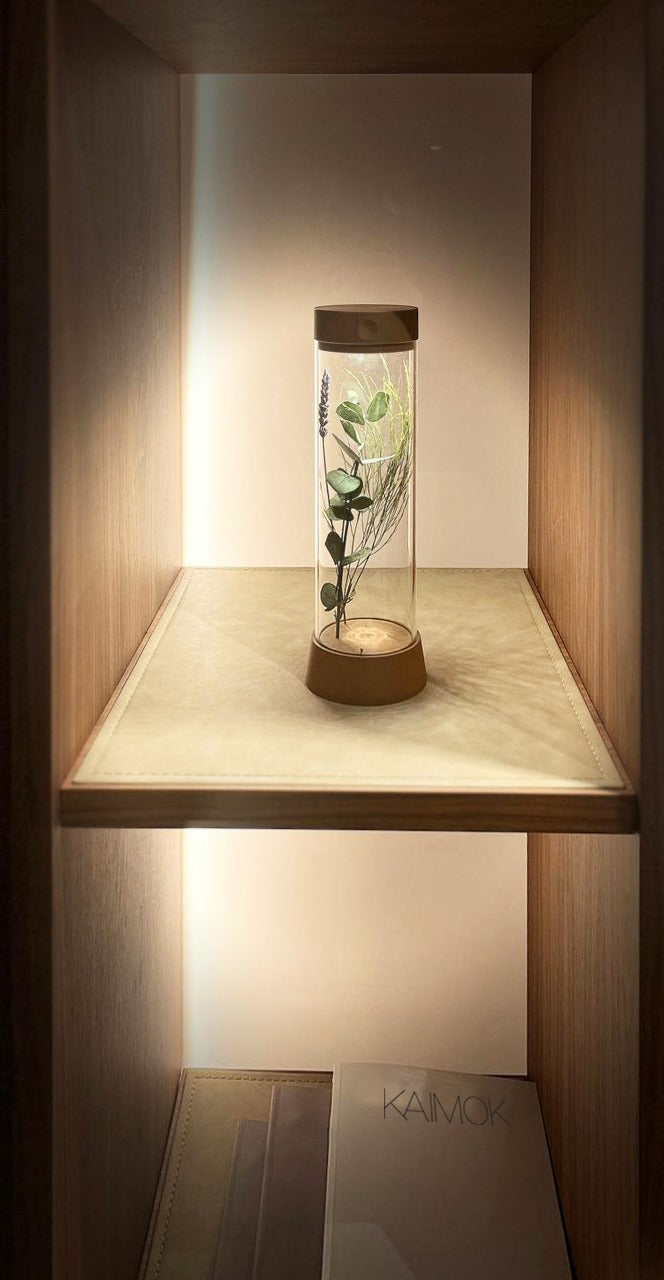 Lámpara de mesa recargable EOS